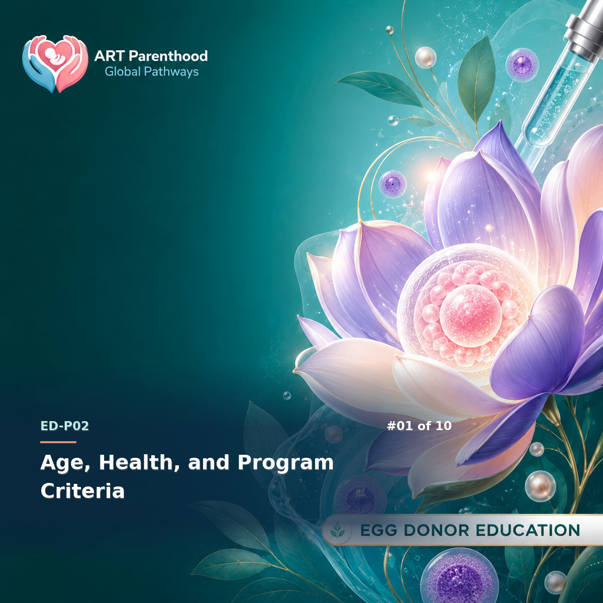 Egg Donors education card for ED-LP02-01: Age, Health, and Program Criteria.