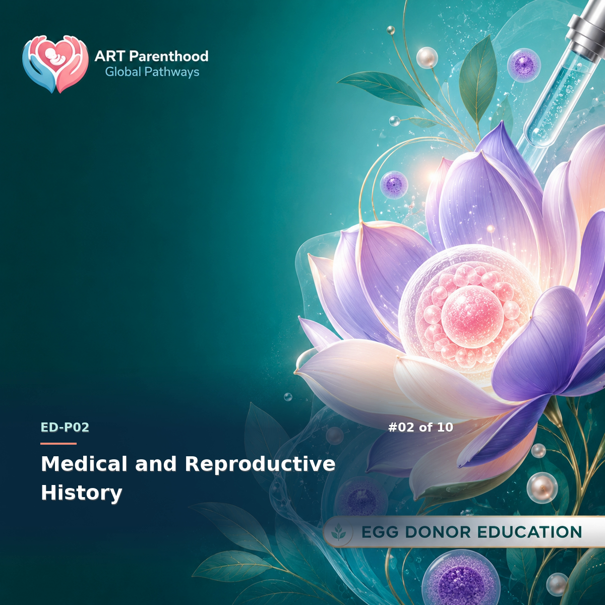 Egg Donors education card for ED-LP02-02: Medical and Reproductive History.