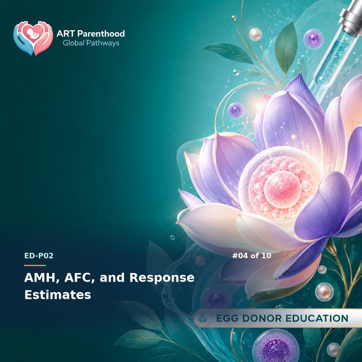 Egg Donors education card for ED-LP02-04: AMH, AFC, and Response Estimates.
