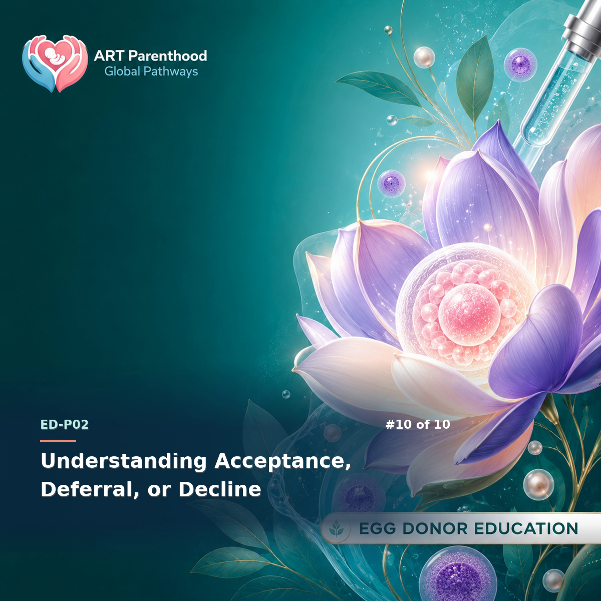 Egg Donors education card for ED-LP02-10: Understanding Acceptance, Deferral, or Decline.